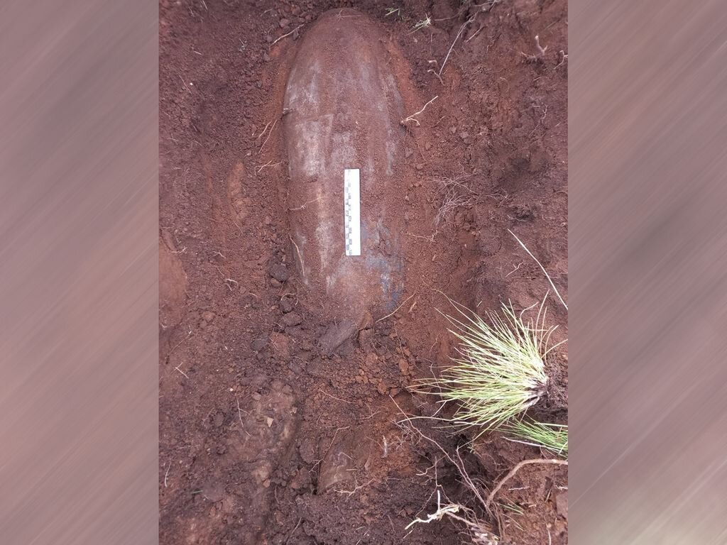    Авиационную бомбу обнаружили в степи Оренбургской области. Боеприпас решено уничтожить