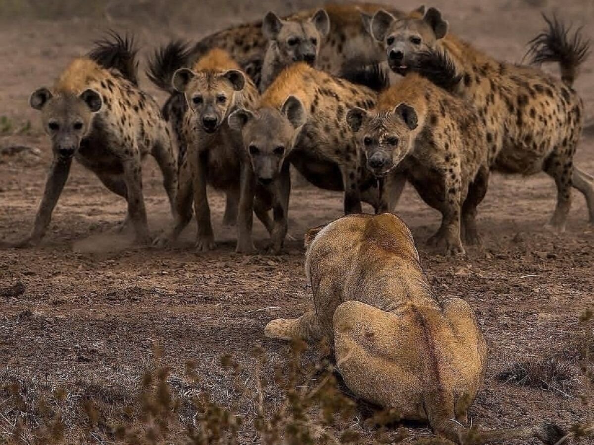 Источник: inpearls.ru