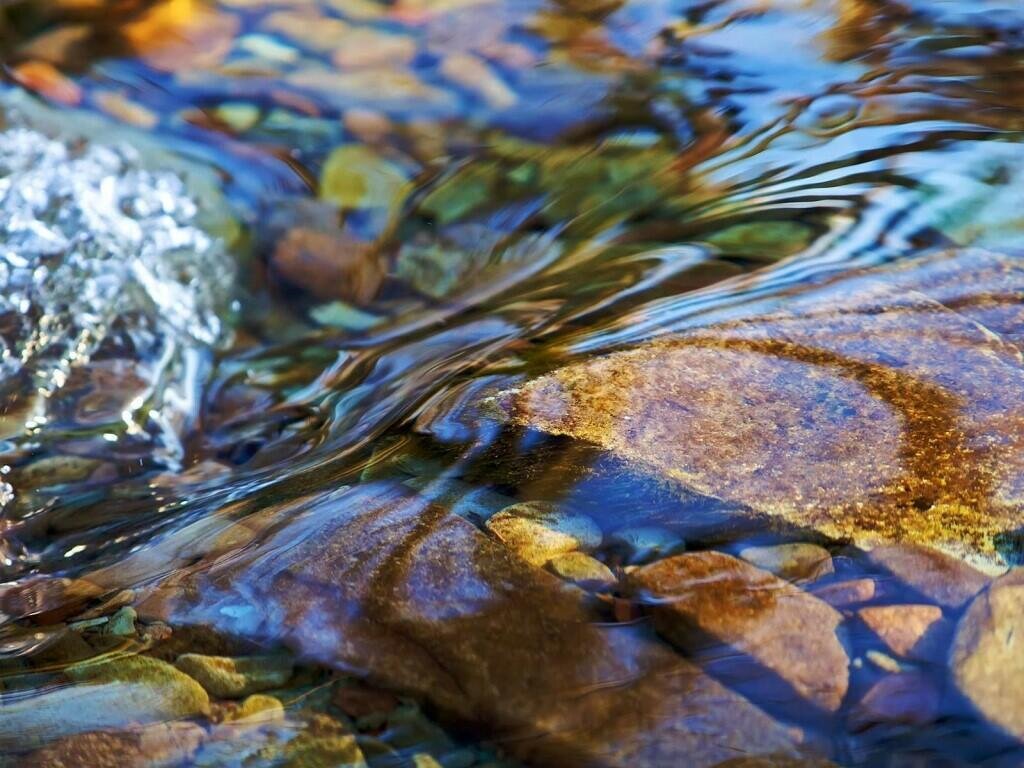 Дно этого ручья было ледяное и от лесной темной воды схема