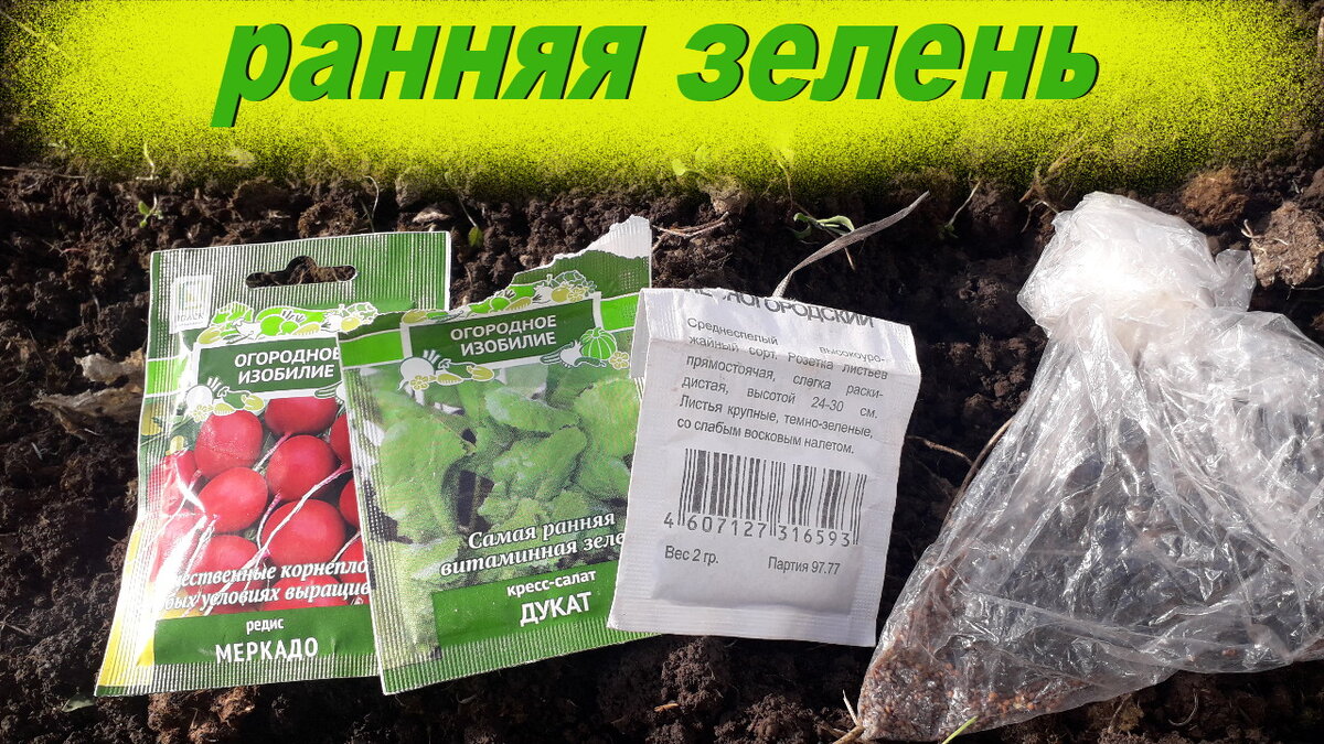 Ранняя зелень