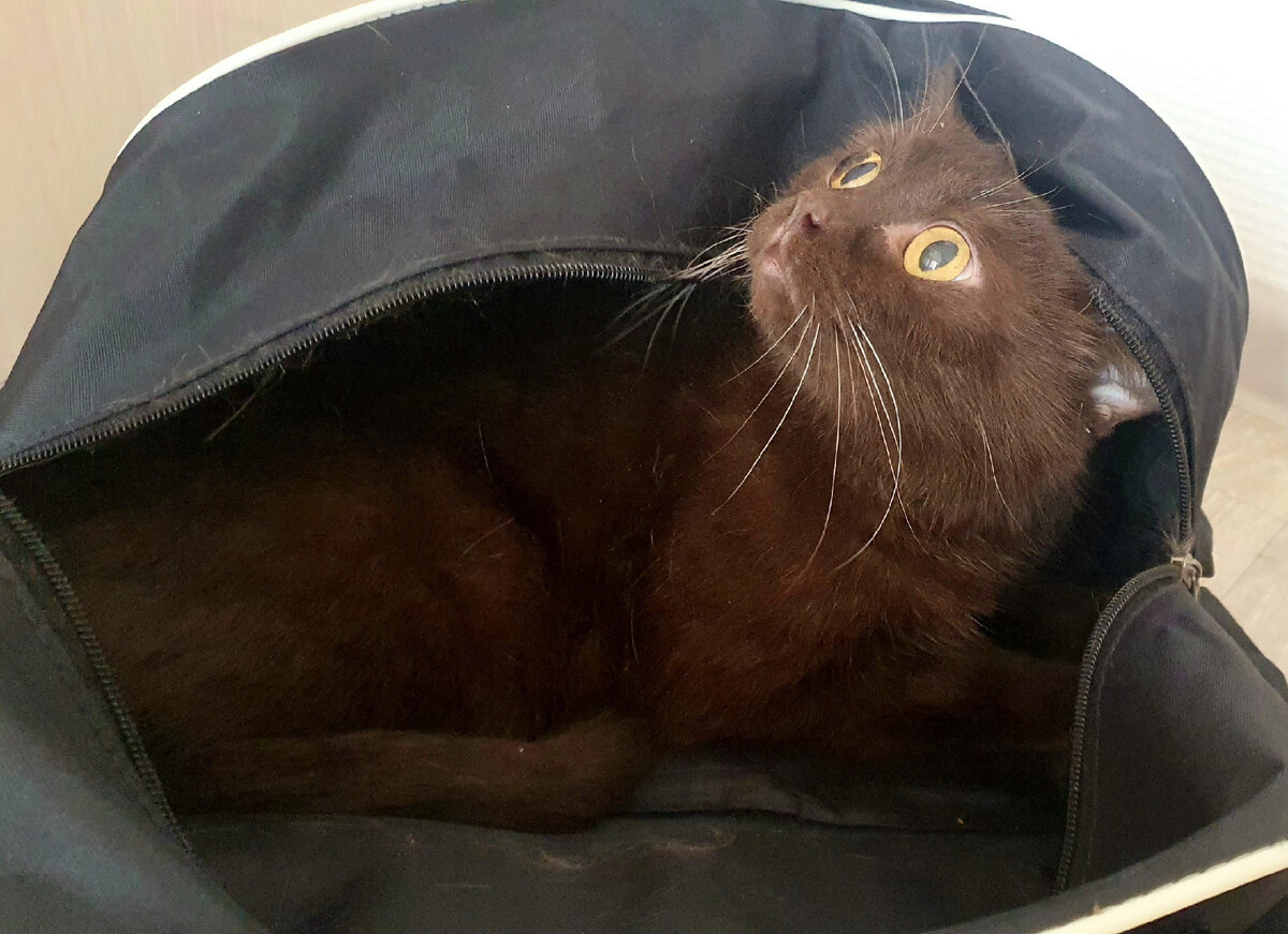 Фото Социальной службы "Оптима"