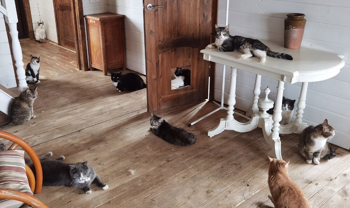 Собираемся на обед