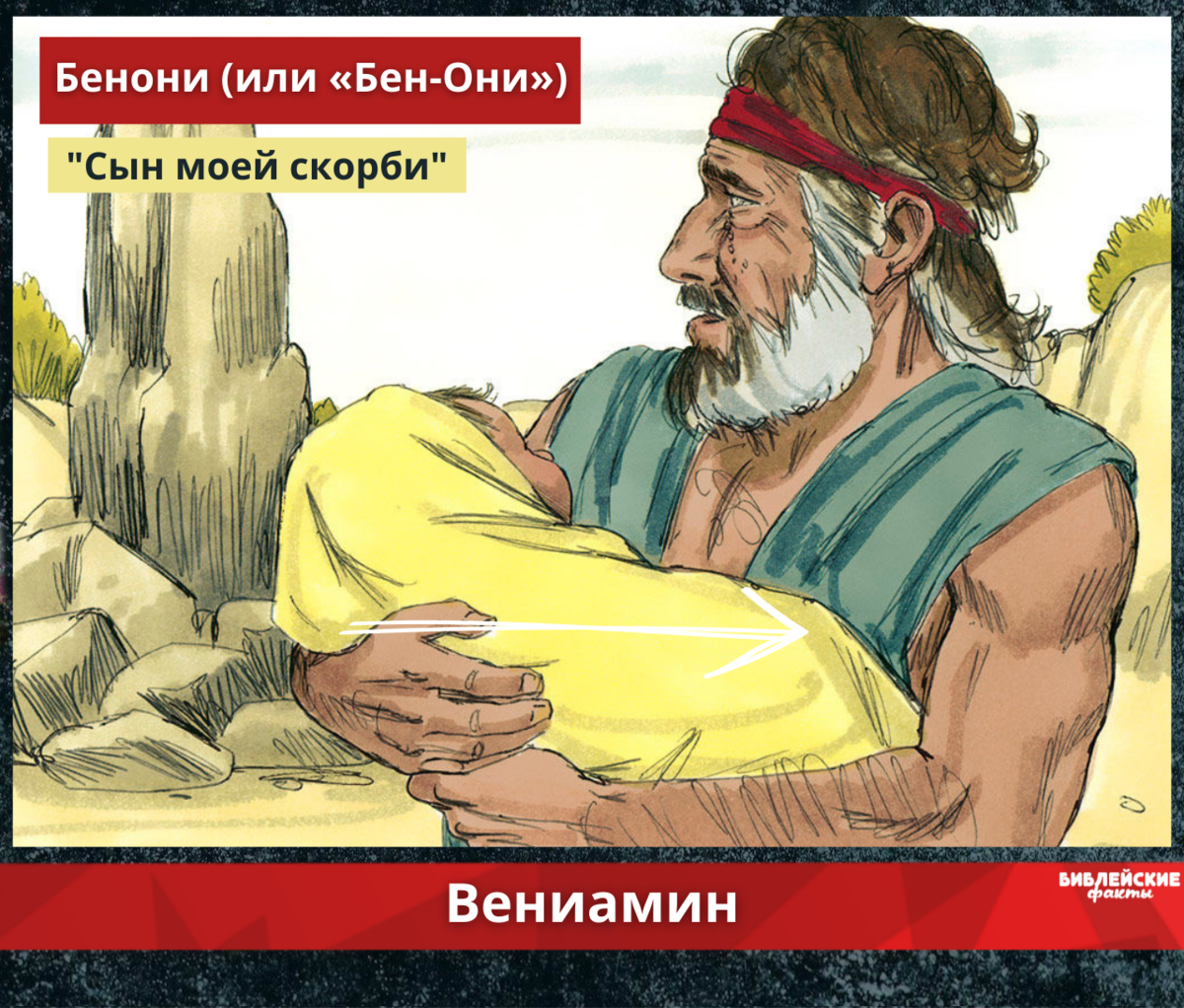 Библейские факты