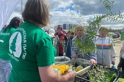    Экологическая акция «Зеленая суббота» ©Артем Ковалев