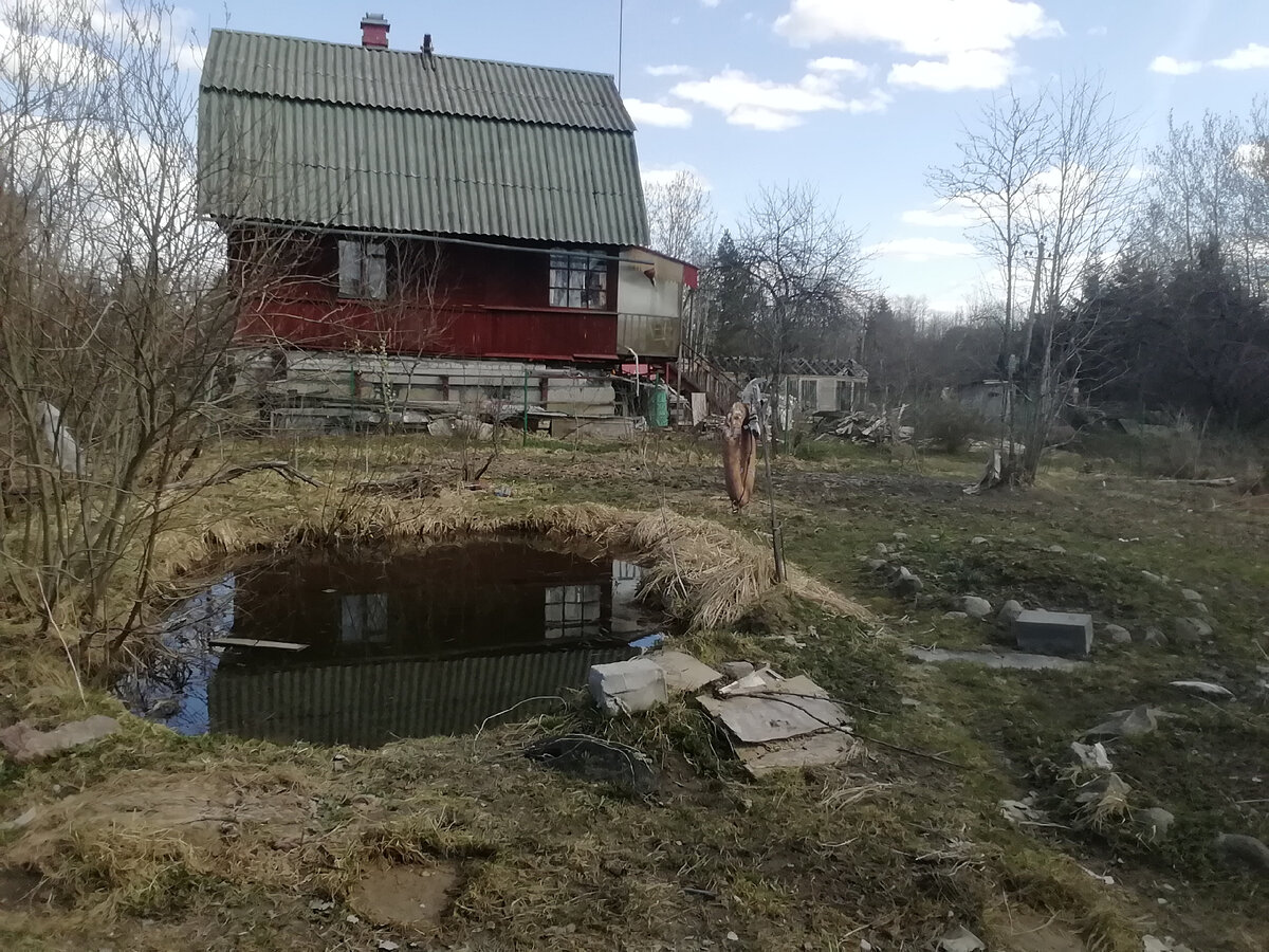 Красницы. Участок и пруд. 