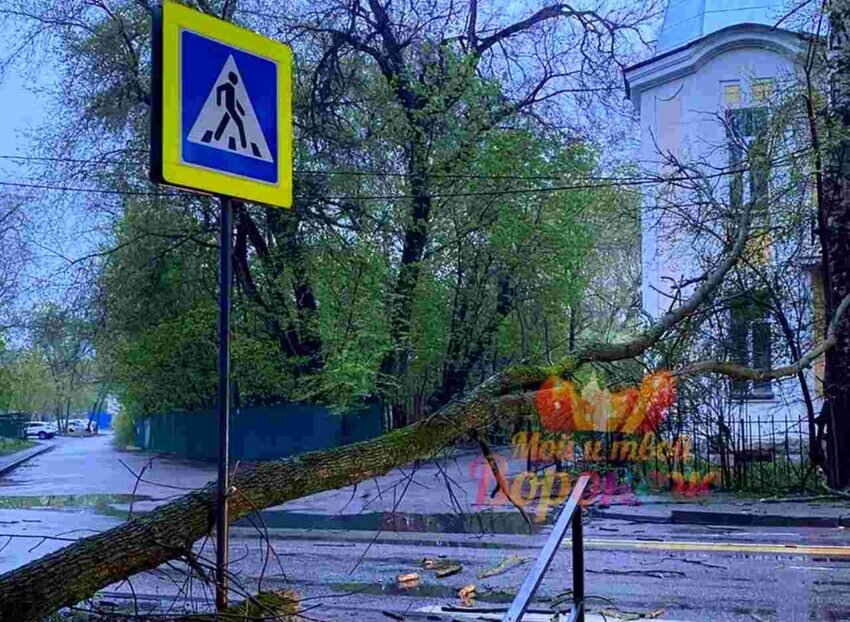    Фото «Мой и твой Воронеж»