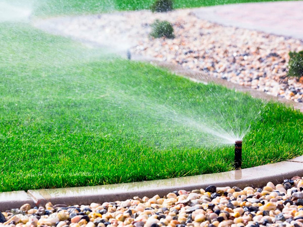   Фото lawnlove.com