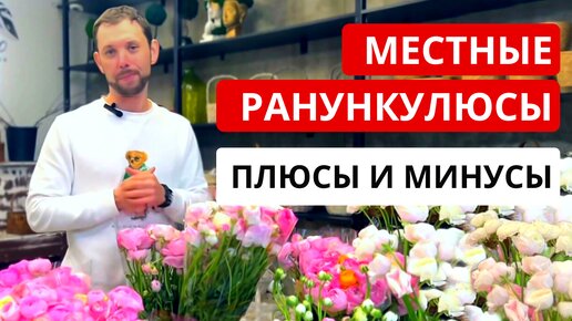 МЕСТНЫЕ РАНУНКУЛЮСЫ! Особенности, плюсы / минусы, качество, цена. Сравнение с импортным ранункулюсом