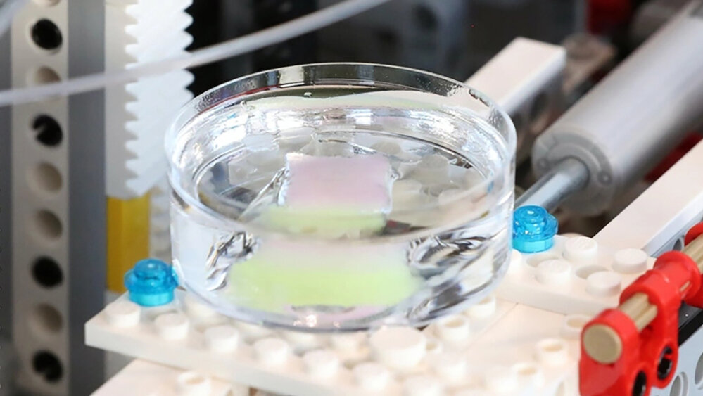    Фото: Cardiff University