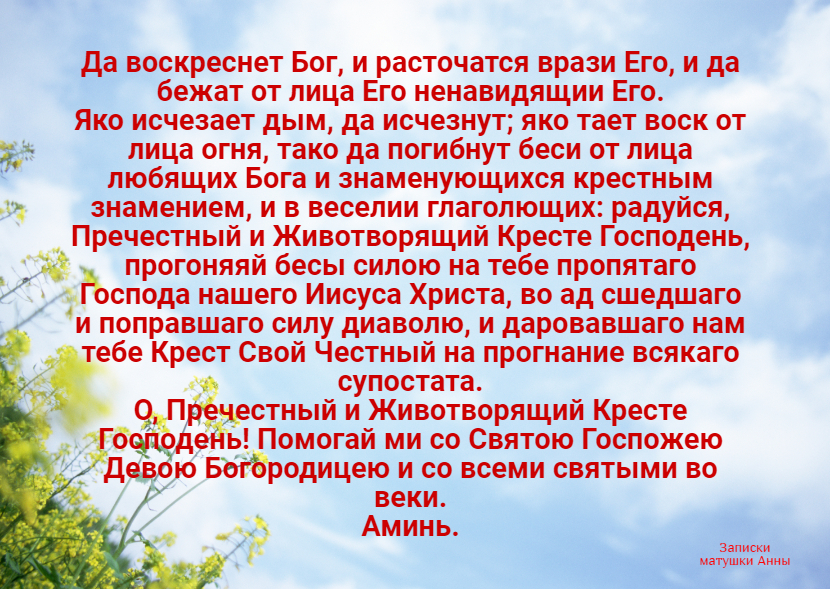 обработка автора блога