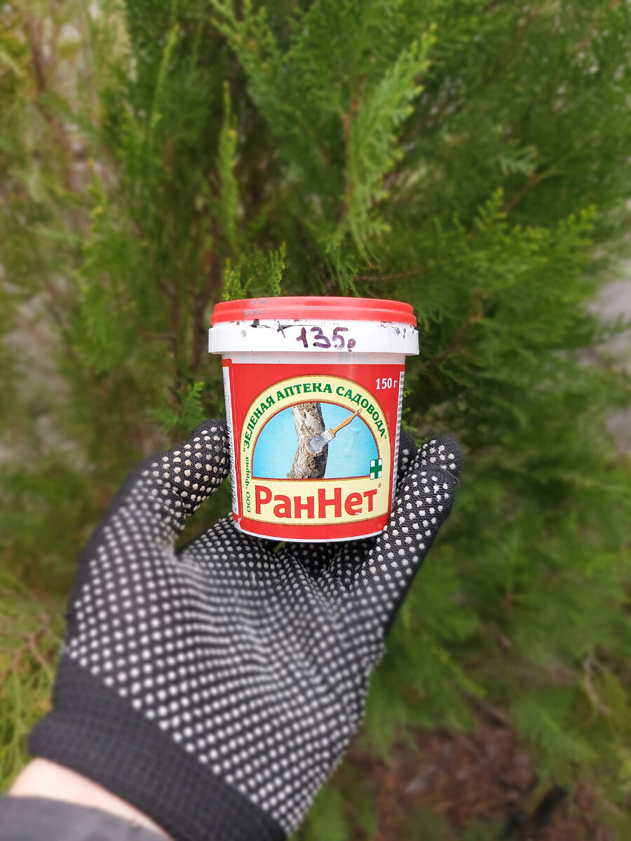 Авторское фото