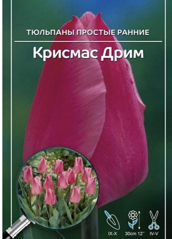 Продавец Ависта