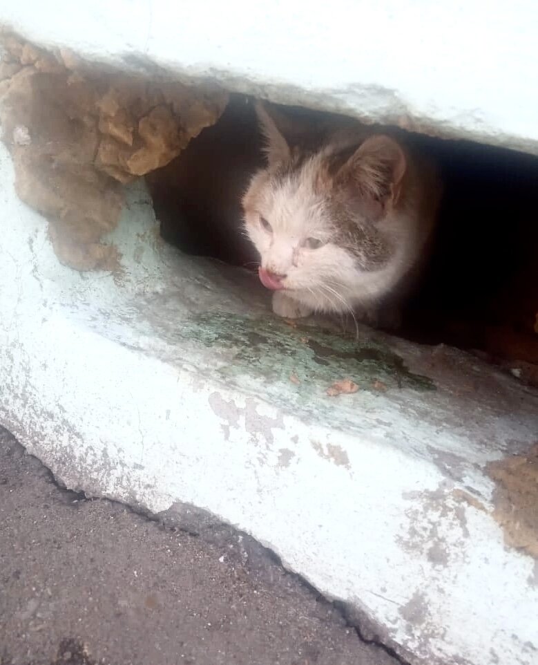 Иногда она туда залазила
