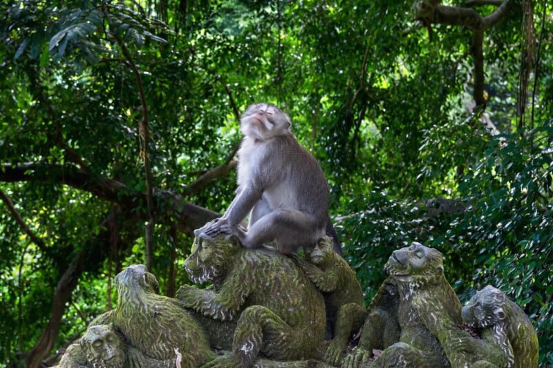    Satheesh Nair, oneeyeland.com