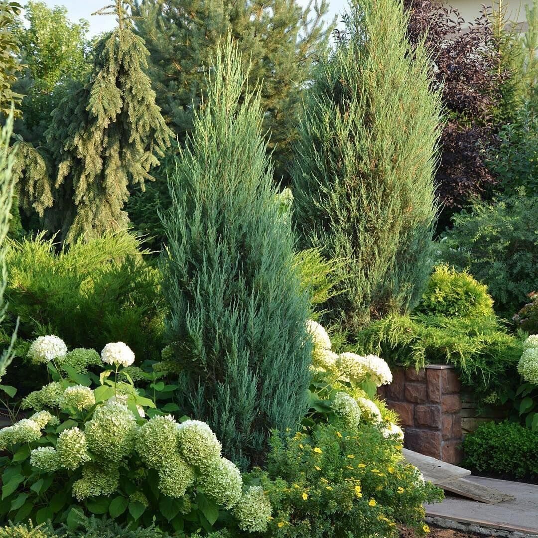 Много интересных решений можно придумать