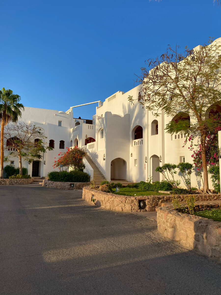 Фото автора канала. Территория отеля Domina Coral Bay.