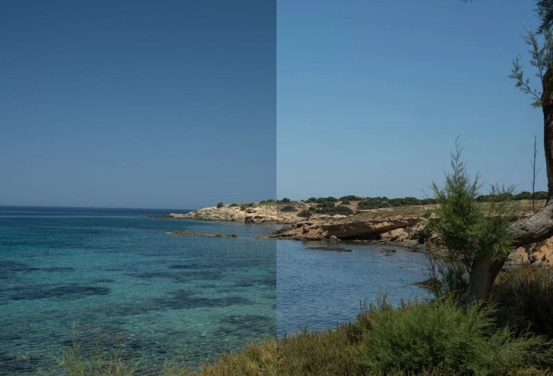    Сравните снимки с фильтром (слева) и без фильтра (справа) / Фото: petapixel.com