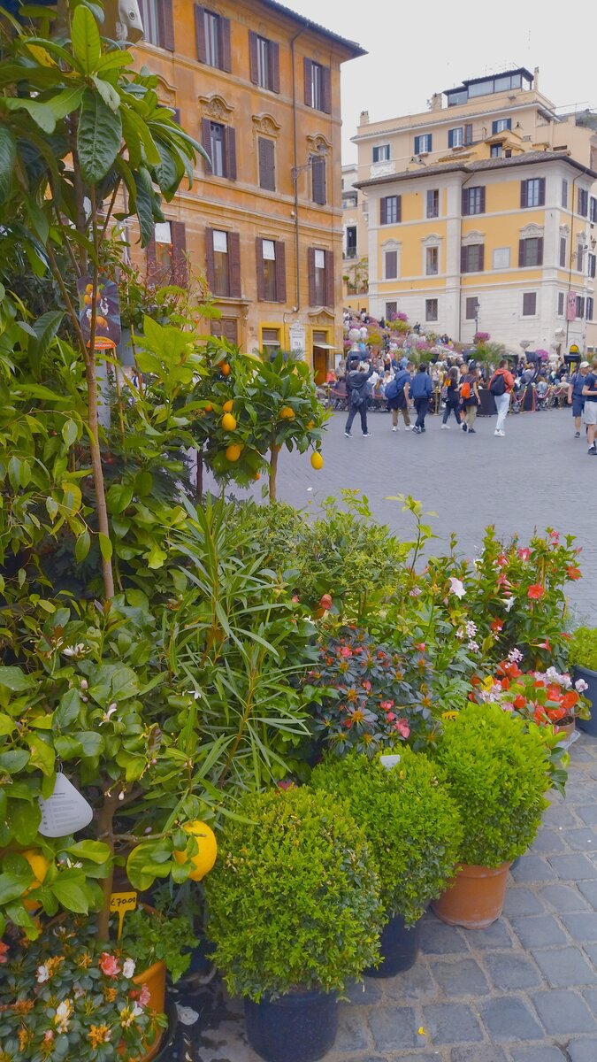 Piazza Spagna, фото автора 