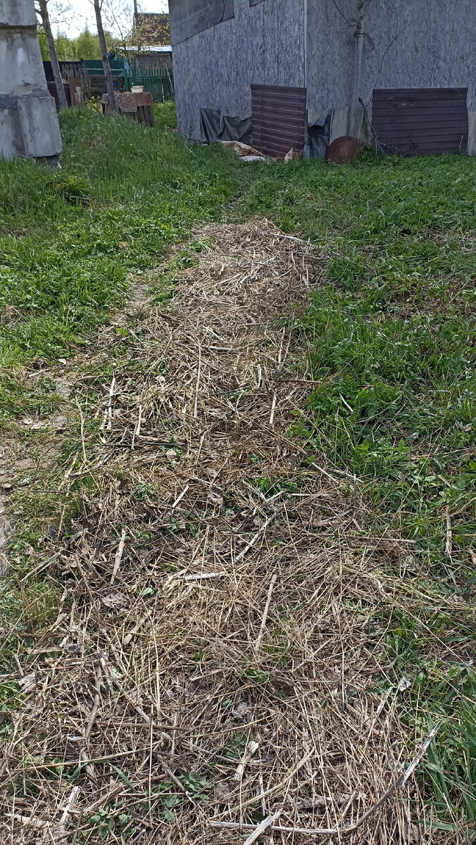 Первая дорожка от сарая вниз, к грядкам.