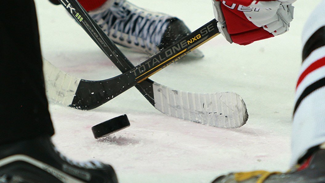 ФОТО: DMITRY GOLUBOVICH/GLOBALLOOKPRES