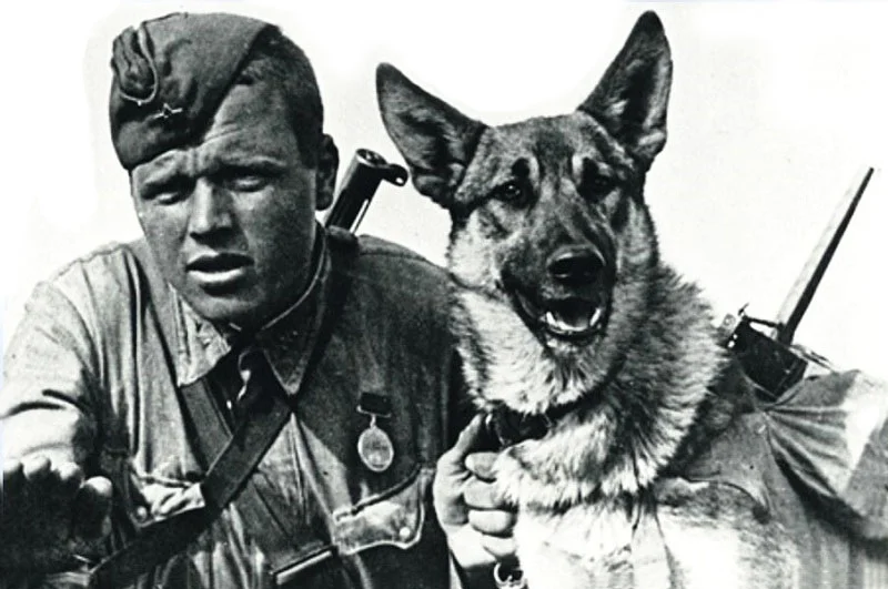 Во время Великой Отечественной войны появилось много героев как на поле боя, так и в тылу.