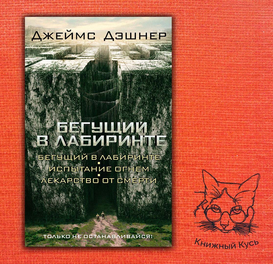 Книга, которую читала автор статьи