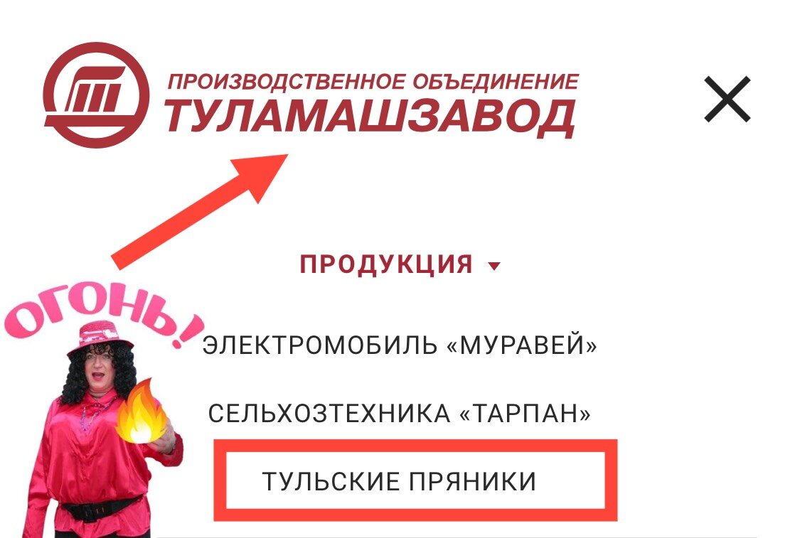 Скриншот с сайта производителя с нашей реакцией)))