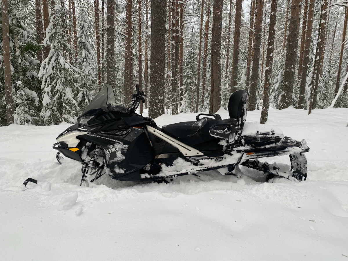 Второе сиденье и спинка пассажира - дорогие опции. Источник фото - https://auto.ru/snowmobile/used/sale/brp/lynx_xterrain/4318714-c4a946be/