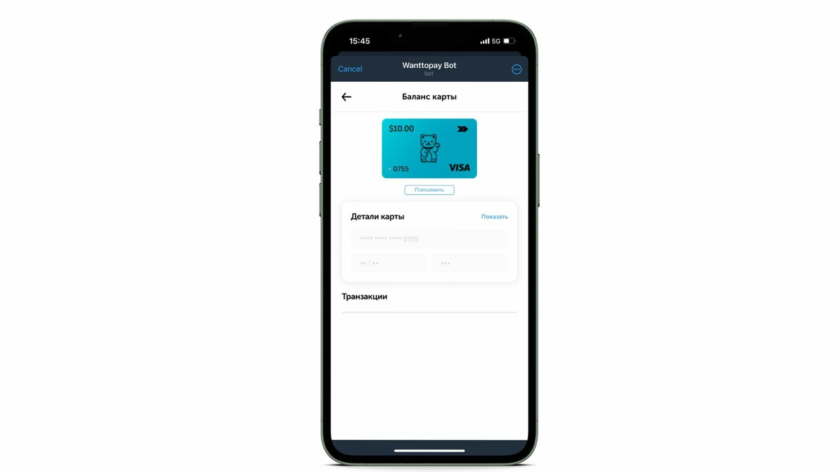 Как оформить виртуальную карту Visa в России? | Wanttopay | Дзен