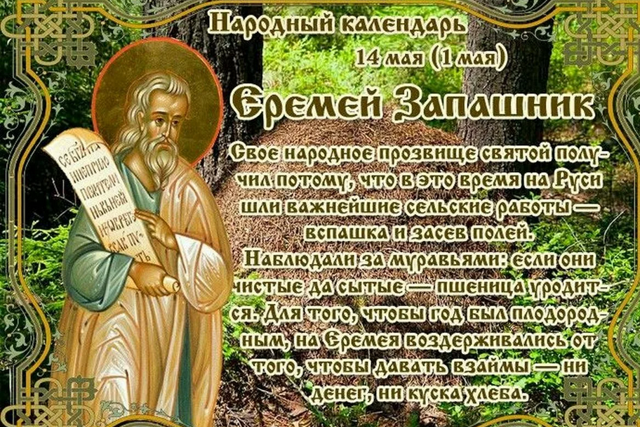 Фото из свободного доступа