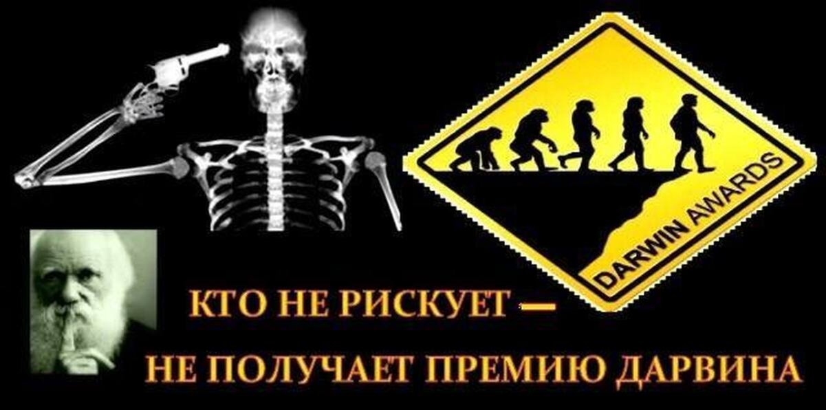 Иллюстрация из открытых источников