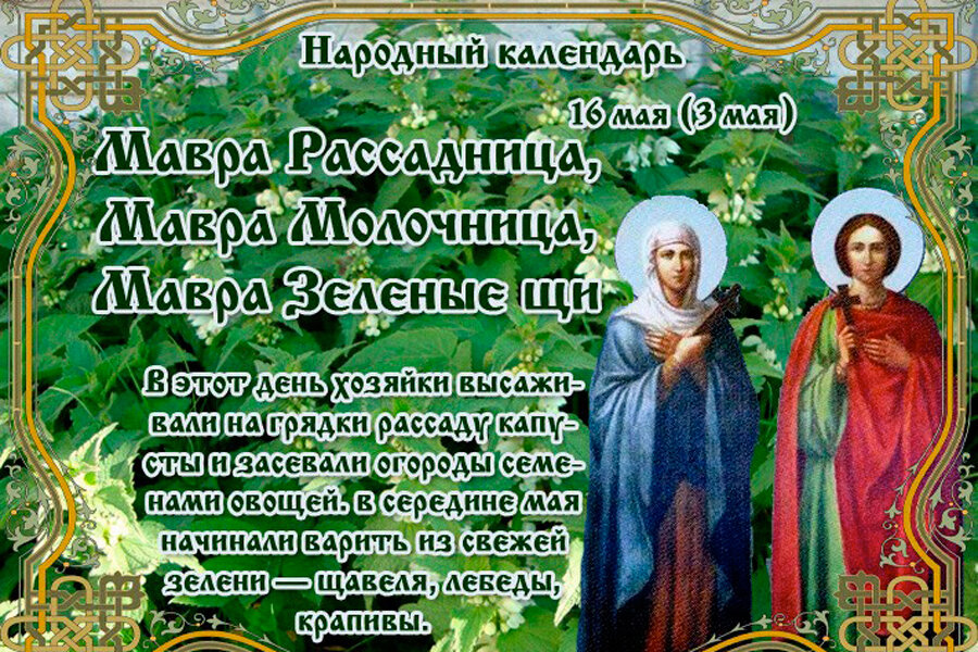 Фото из свободного доступа