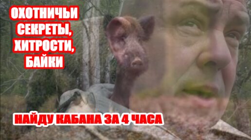 НАЙДУ КАБАНА , ГДЕ УГОДНО....ЗА 4 ЧАСА.