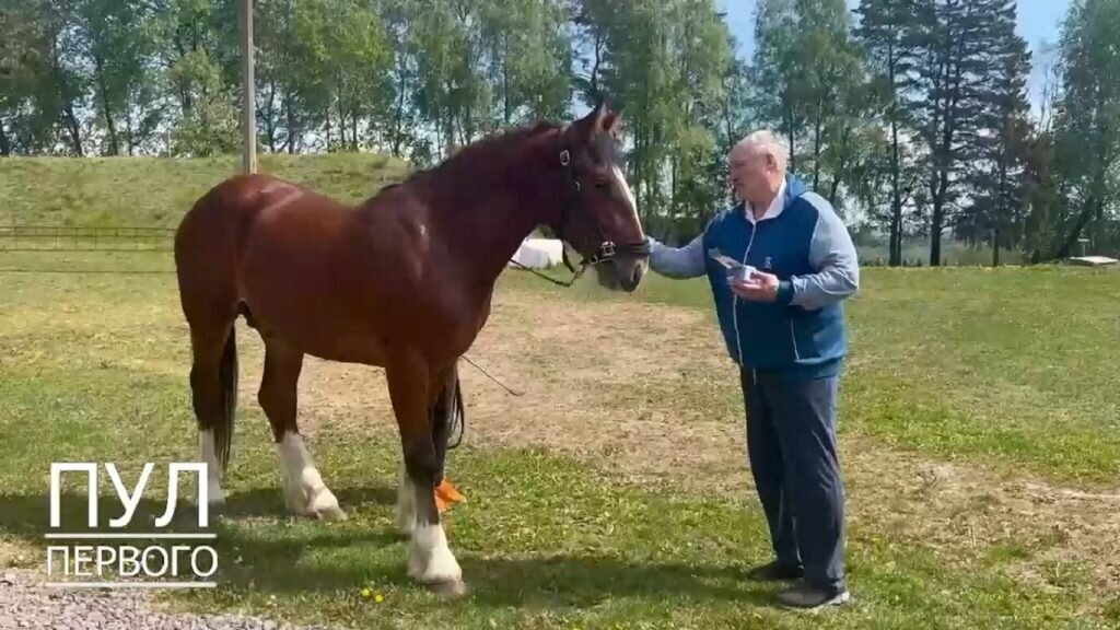    Фото: Скриншот видео Елена Стеценко