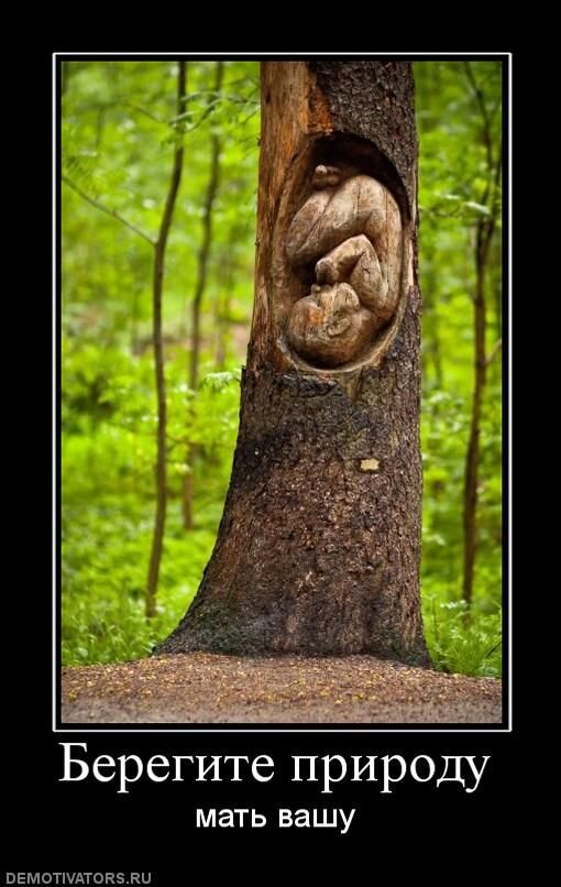 Карикатуры на туристов в лесу. Анекдот про природу. Шутки природы. Анекдот про природу. Демотиваторы про природу.