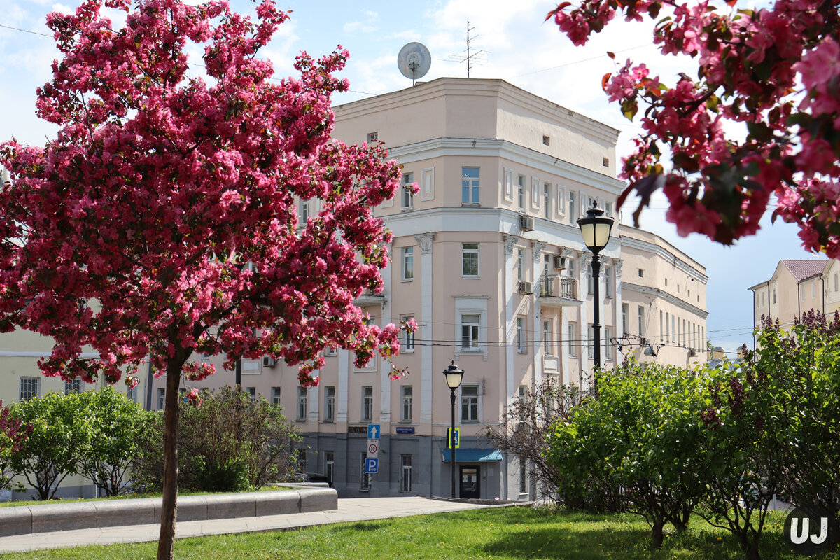 Фото: Алиса Хохлова