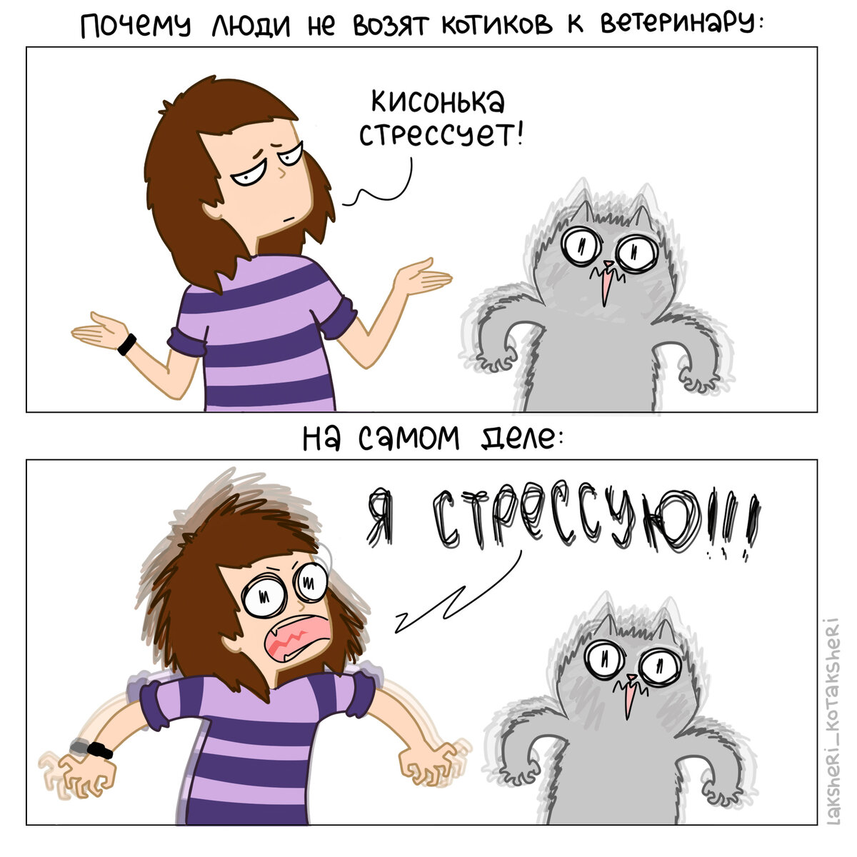 Очень часто хозяева боятся возить питомцев в клинику, потому что хотят избежать стресс питомца.  А болезнь в это время развивается. Лучше позвоните в клинику и узнайте, какие успокаивающие они советуют давать перед посещением. Так и вы и котик будете спокойны)