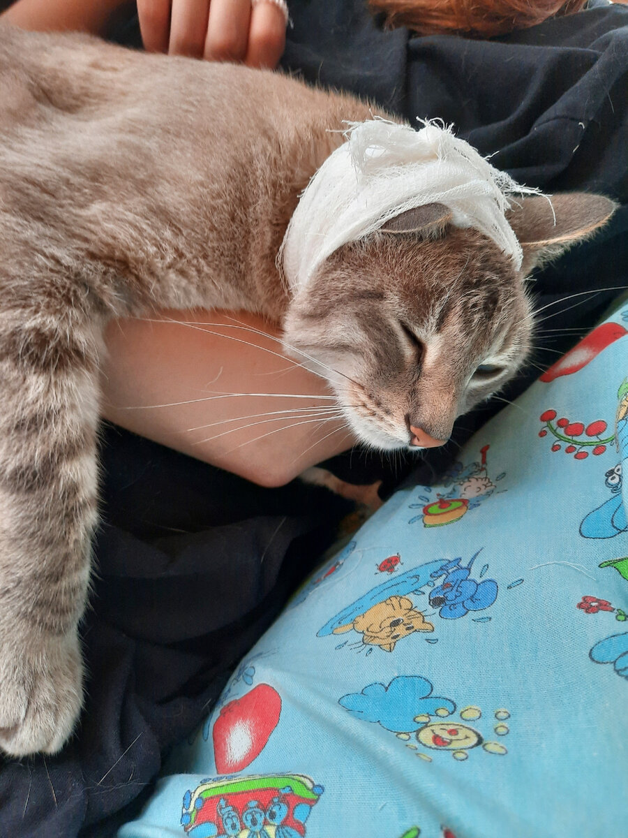Это наш Бимус в прошлом году