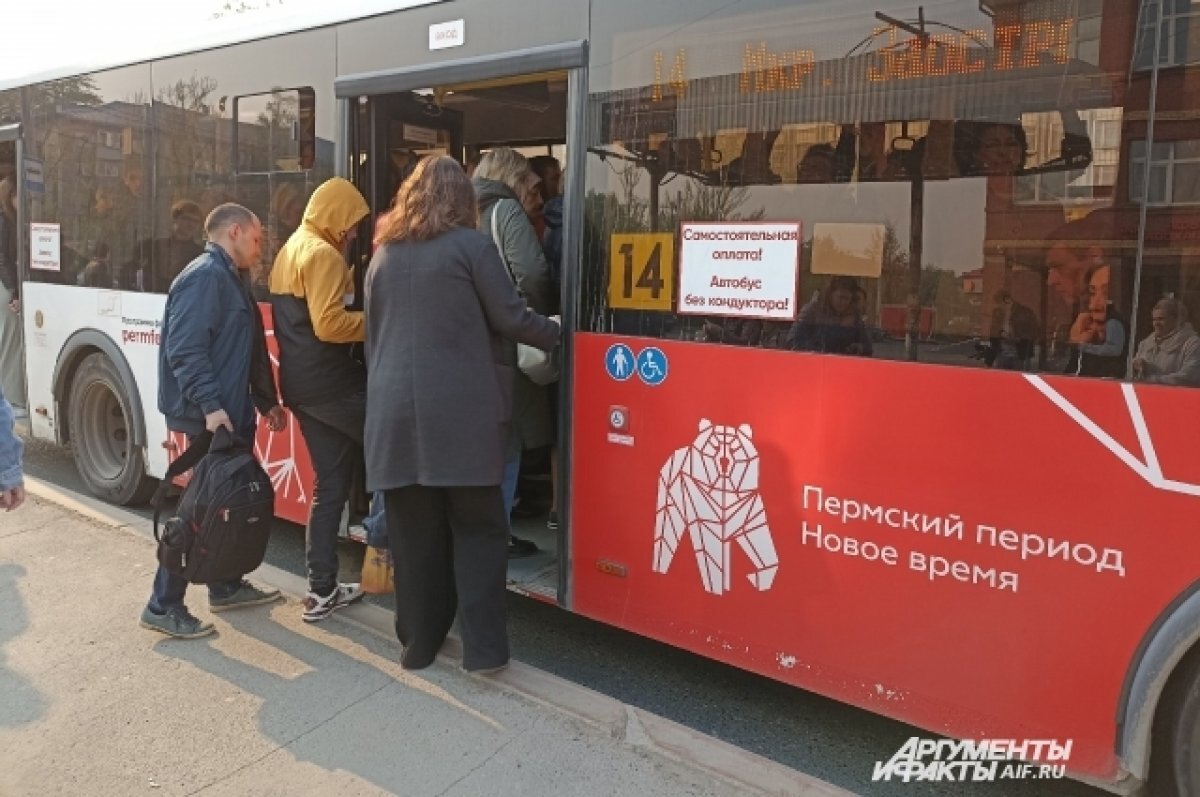    12 июня в Перми будет бесплатным проезд на общественном транспорте