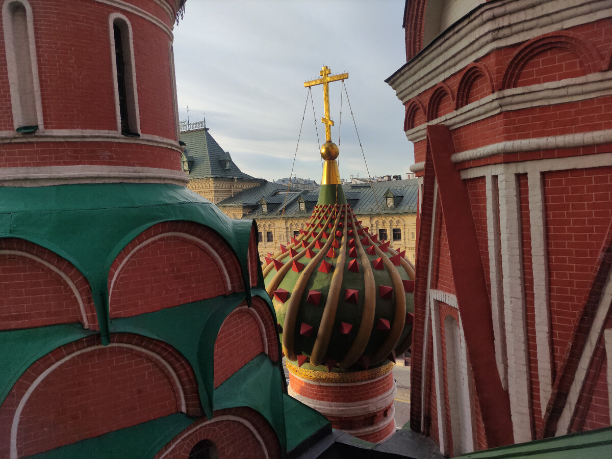 © Яна Левашова 
