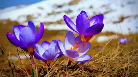     указывать не имеет право