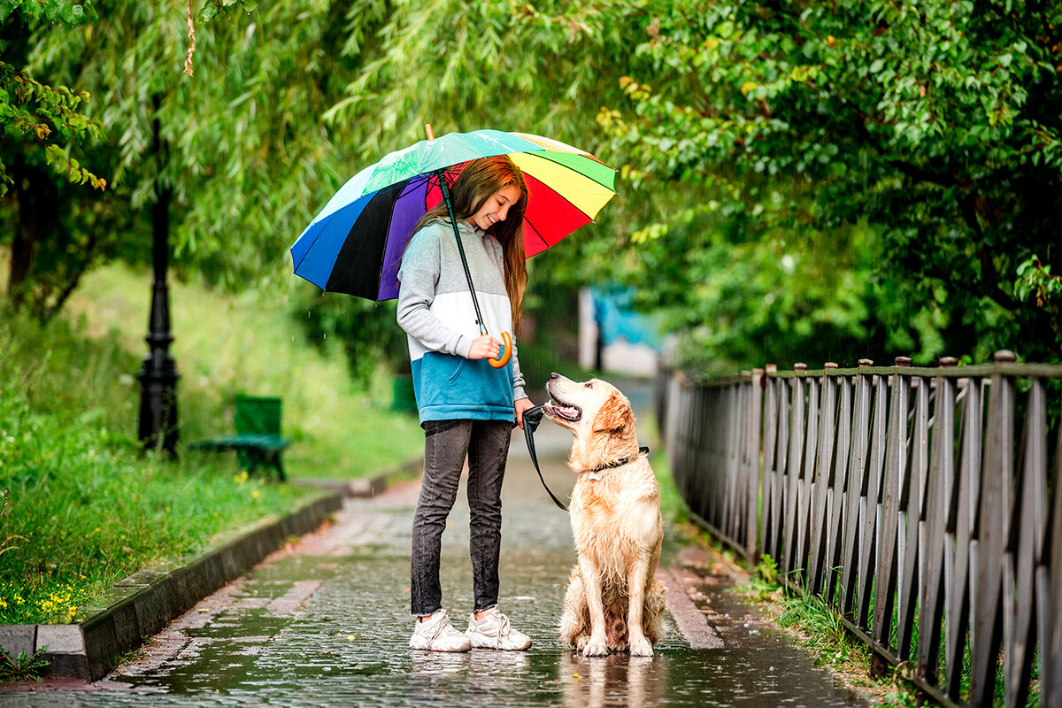    Фото: Tatyana Vyc / Shutterstock.com