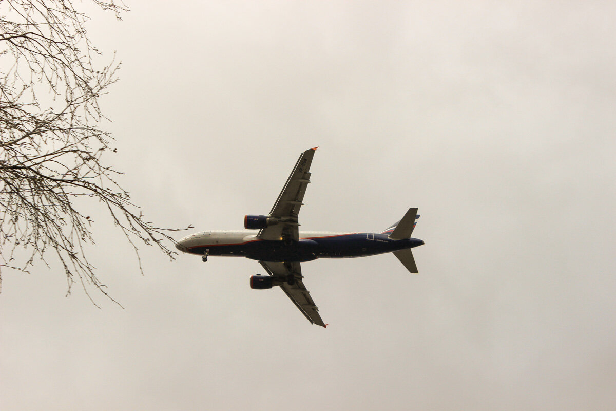 Все фотографии в статье мои