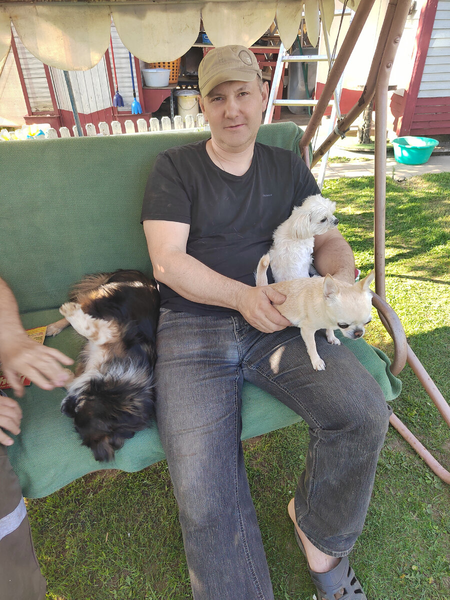 Владик и собачки 