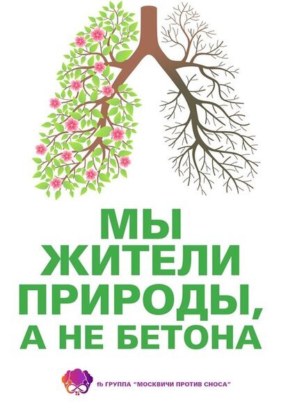 знак охраняйте природу № купить на | Аукціон для колекціонерів urdveri.ru urdveri.ru