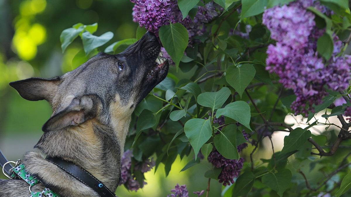    Фото: Артур Новосильцев / АГН Москва