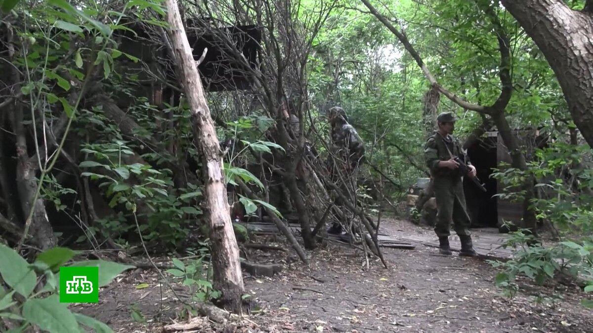 Российские военные показали один из своих блиндажей на Угледарском  направлении | НТВ: лучшее | Дзен