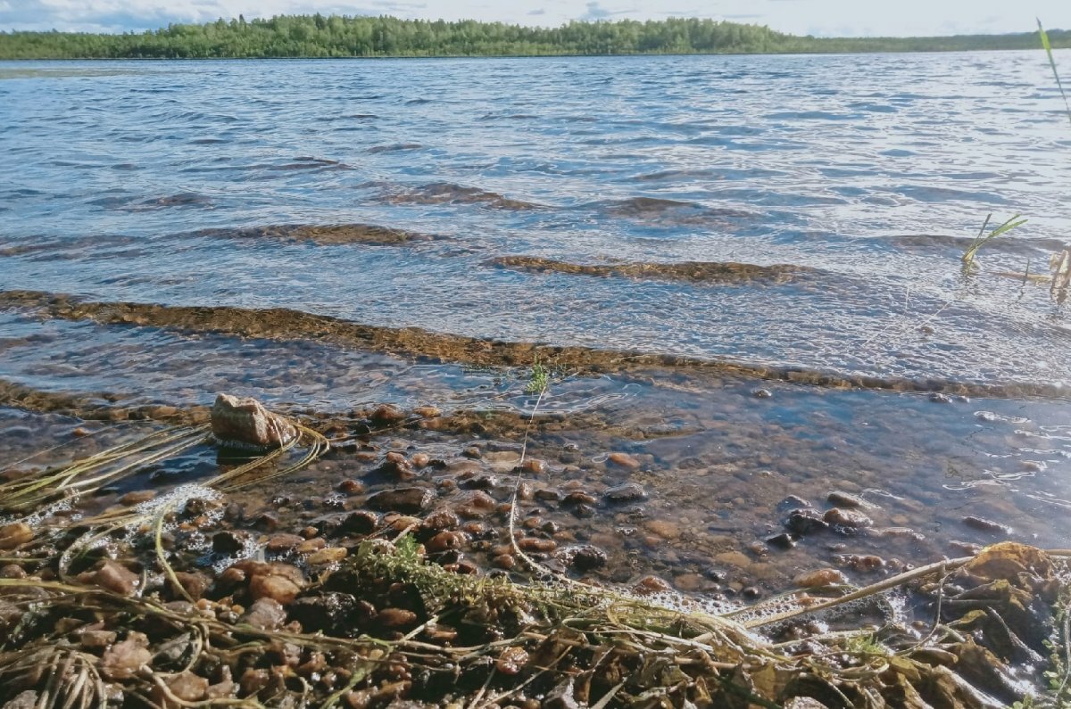    Более 40 несчастных случаев ежегодно фиксируется на псковских водоемах