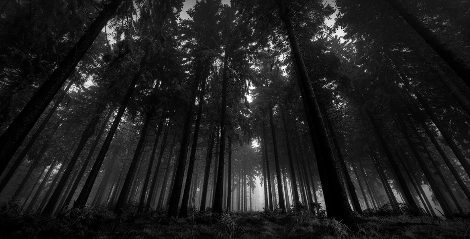 Природа - источник жизни и силы