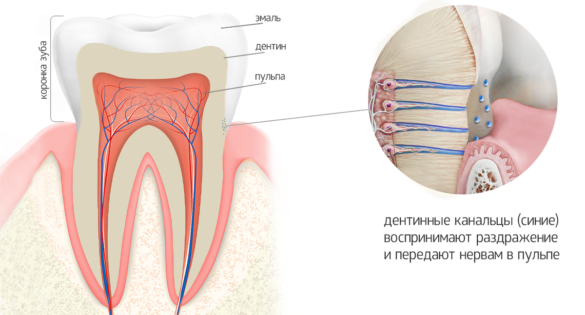 Что делать, если у вас чувствительные зубы? Советы доктора | Kurtova Dental Clinic